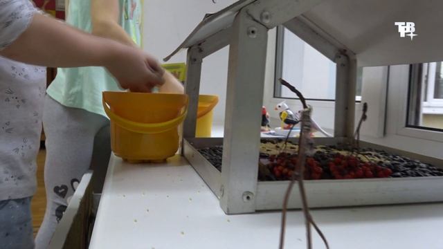 Синичкин день. Рубрика "Детские рассуждалки". смотреть онлайн