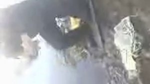 рыбалка летом на квадрате иркутск