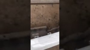 передний бампер фольксваген тигуан 2
