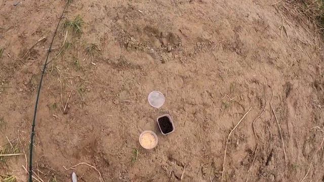 Рыбалка на донки река АХТУБА.В прилове САЗАН,карась,СУДАК и много ЧЕХОНИ.