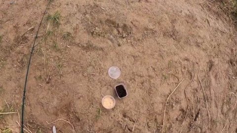 Рыбалка на донки река АХТУБА.В прилове САЗАН,карась,СУДАК и много ЧЕХОНИ.