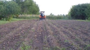копаем картошку 2022 Кентавр т 24