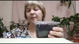 почему я перец колокольчик сажаю в декабре