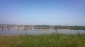 Пойма Волги. Дачи с.Красный Яр Энгельсского района