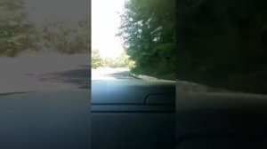 Дорога с Хосты до Красной Воли 8км