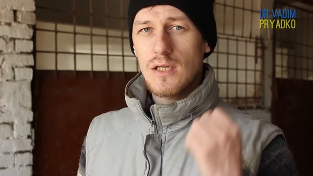 Столбняк у лошади.Вакцинация. Tetanus in horses. Vaccination. смотреть онлайн