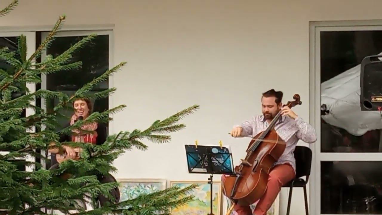 Великолепный дуэт - Таисия Краснопевцева и Андрей Березин (1) смотреть онлайн