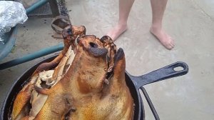 готовлю свиную голову !