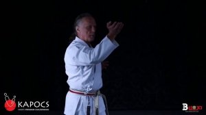 Кихон-базовая техника в Каратэ. Kihon - basic technique in Karate