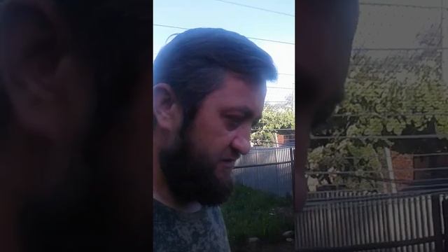 Обустройство курятника и выгул для кур несушек.
