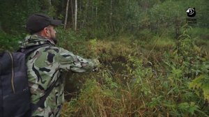 Дикий ручей. Анонс. Канал Охотник и Рыболов