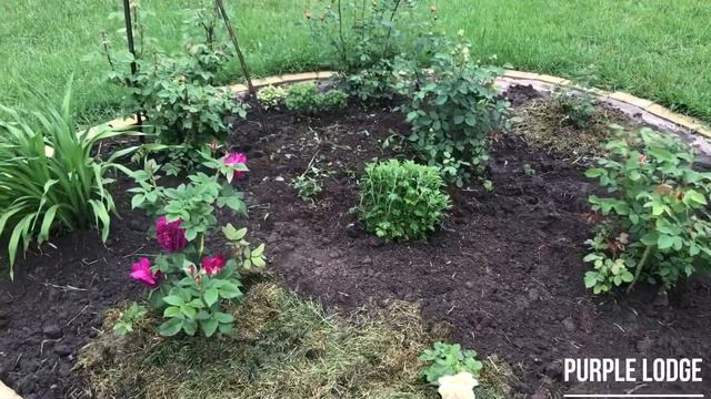 Троянда Пурпур Лодж?/ Palais Biron / Rose Purple Lodge /Роза Палас Бирон/Перпл Лодж смотреть онлайн