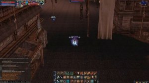 Lineage2 Interlude Paladin PvP