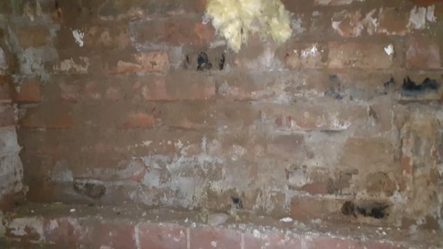 Тайна усадьбы Шереметьевых в селе Высокое. часть 1