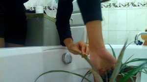 Обработка растений Актарой против мучнистого червя