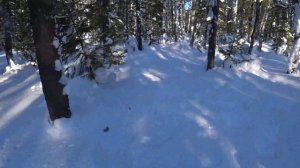 Новые пластиковые армейские лыжи (100-100-100). Тест драйв и первый ремонт.