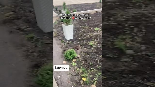 Клеопатра открылась ?