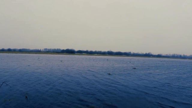 Охота на утку в ХМАО весной. Пережили сильный ветер со снегом. Палатка спасла охотников в непогоду. смотреть онлайн