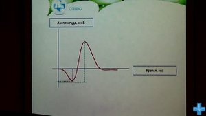 Электроретинография: просто о сложном. Клинические случаи