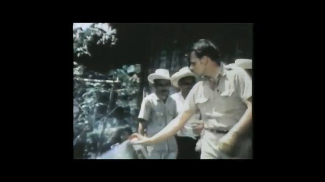 Raid Yard Guard Commercial (1971) смотреть онлайн