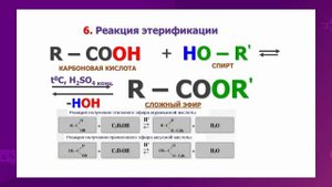 Химия. 11 класс. Свойства и применение карбоновых кислот /03.02.2021/