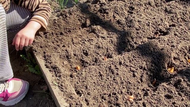 Она ЗАСТАВИЛА ..... понравилось ОБОИМ -))) смотреть онлайн