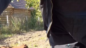 Посеял Рожь после картошки, забороновал и одновременно убрал ботву