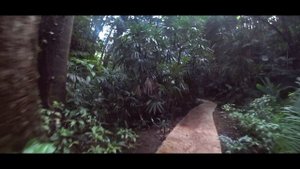 Барбадос | Карибские приключения