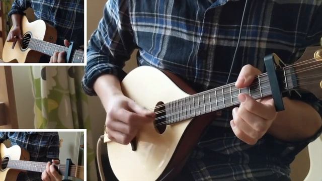 Toss a coin to your Witcher- mandolin cover смотреть онлайн