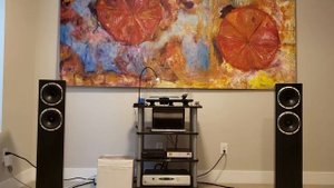 Fyne audio F501 Spectacular Speakers pt#5