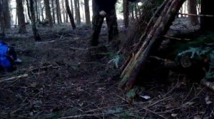 Bushcraft shelter and cooking a fish. Part 1