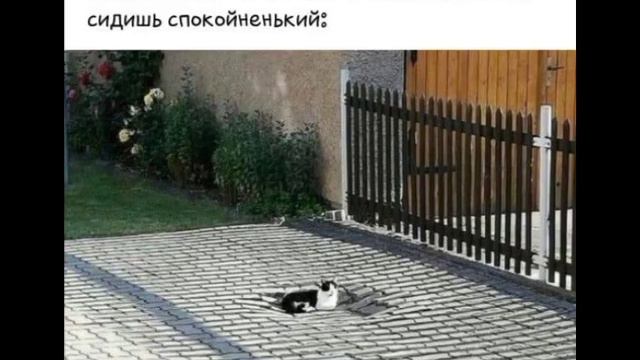 оп оп,живём живём) что у вас новенького?