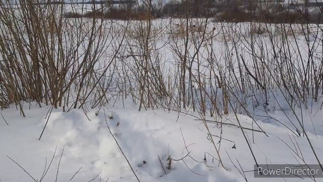 Вред бобров и перестановка капканов смотреть онлайн