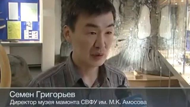 В Арктике нашли мамонта с незамерзающей кровью   Страшное интересное и невероятное видео, явление