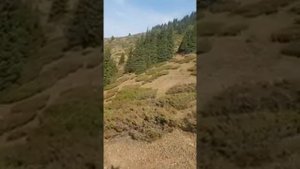 Ява эндуро в горах