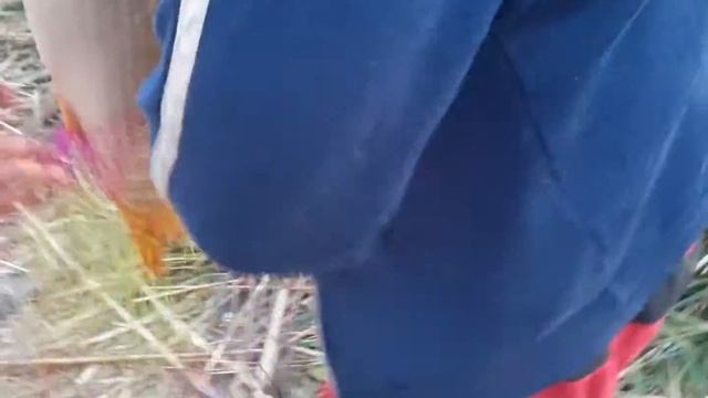 Ловля сазана на макуху, Астрахань, С.Полдневое.