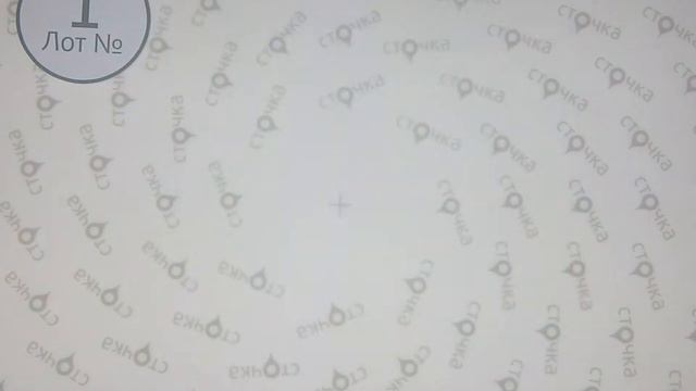 LEGGINS Extra 1 сток одежда оптом