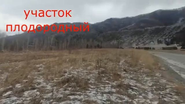 проект чемал 20 соток 600 000 смотреть онлайн