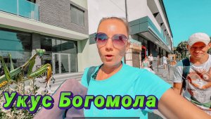 Как так получилось?! / Покупки к школе / Море / Влог