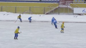 8 этап Первенства МО в Красногорске по хоккею с мячом. "Зоркий" -"Вымпел" , дети 8-9 гг.