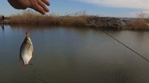 Хутор Садки, ультралайт, рыбалка в Краснодарском Крае. 2021 апрель вторая половина месяца