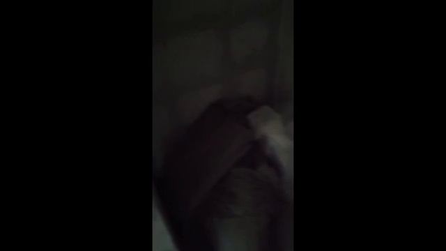 Продам квартиру студию 13.4 м и 14 м в ЗАО район Филевский парк Купить студию 14 м в Москве смотреть онлайн