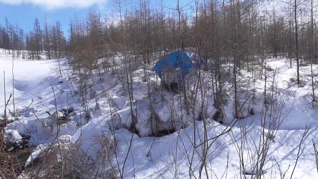 Охота на Кинекуе, и собаки болеют эпилепсией смотреть онлайн