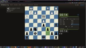 Lichess autoplay bot (chess cheat) | download in description