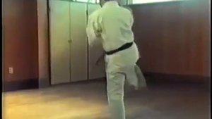 Годзю-рю каратэ-до Морио Хигаонна
