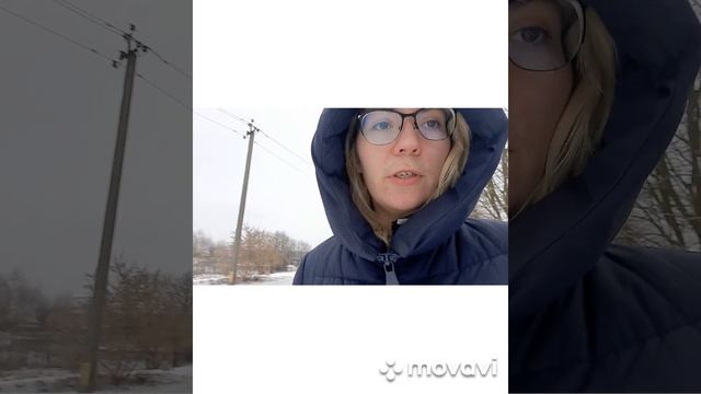 Влог//🐕🐶 Нора Саккавич "Лисья нора" и "Король воронов" смотреть онлайн