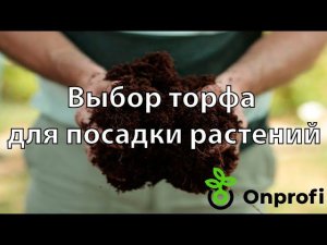 Выбор торфа для посадки растений. Какой торф лучше? Большое сравнение.