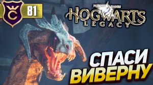 СПАСЕНИЕ ДРАКОНА! Hogwarts Legacy #81