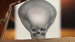 постскриптум 10.10.2009 часть 2