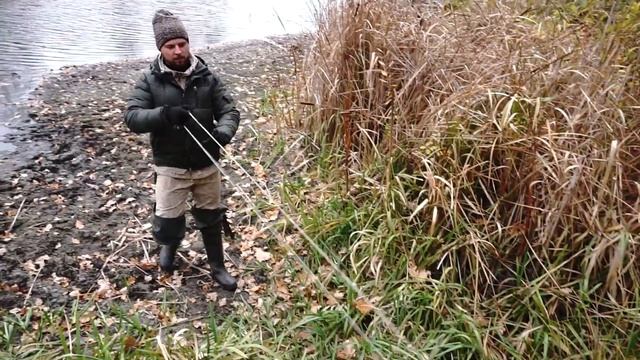 Поездка в рыбхоз за карасиками. Зарыбливаю лесное озеро